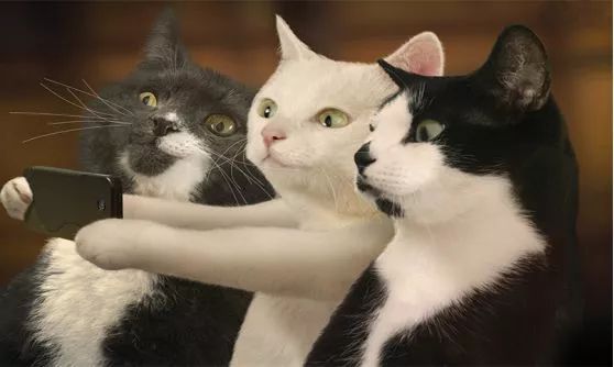 重大情报丨全新界面医生站强势来袭!快来围观