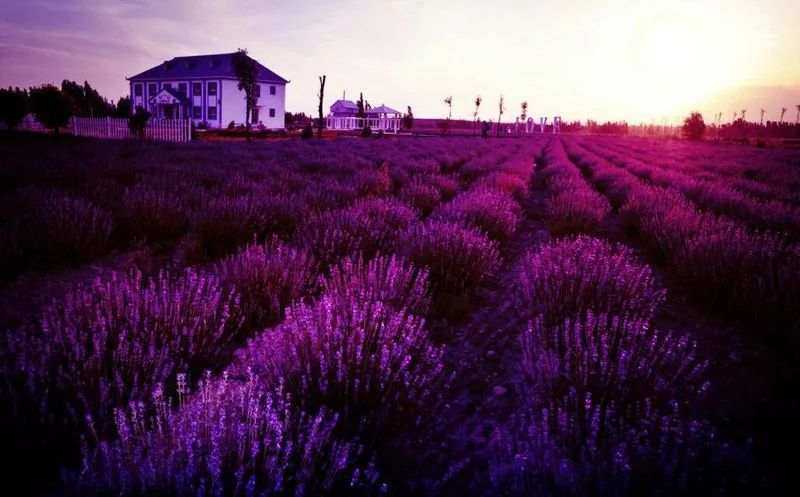 五一疆内旅游攻略大全,全新疆旅游攻略详细