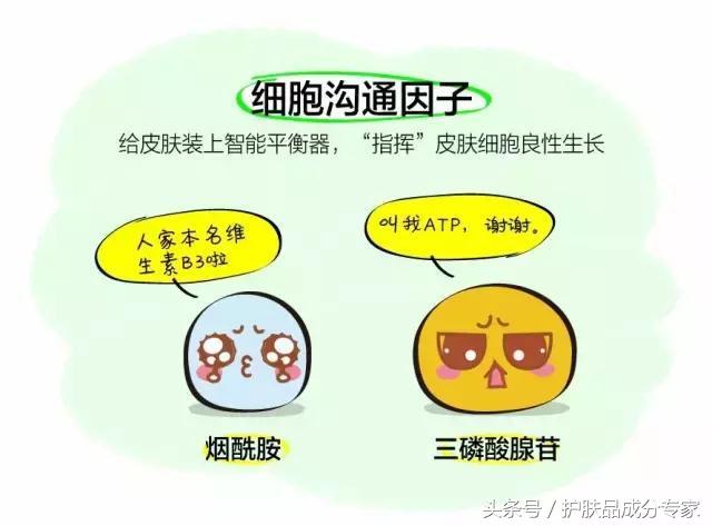 上厕所看成分表,上厕所上的时间长需要做啥检查