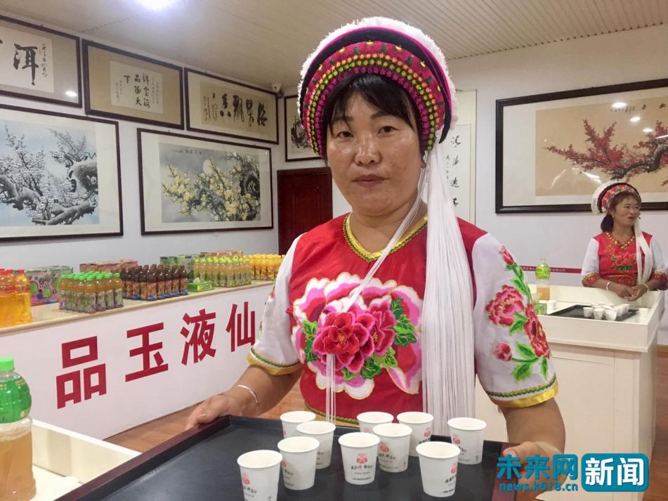 云南洱源梅子,大理洱源梅子的经济价值