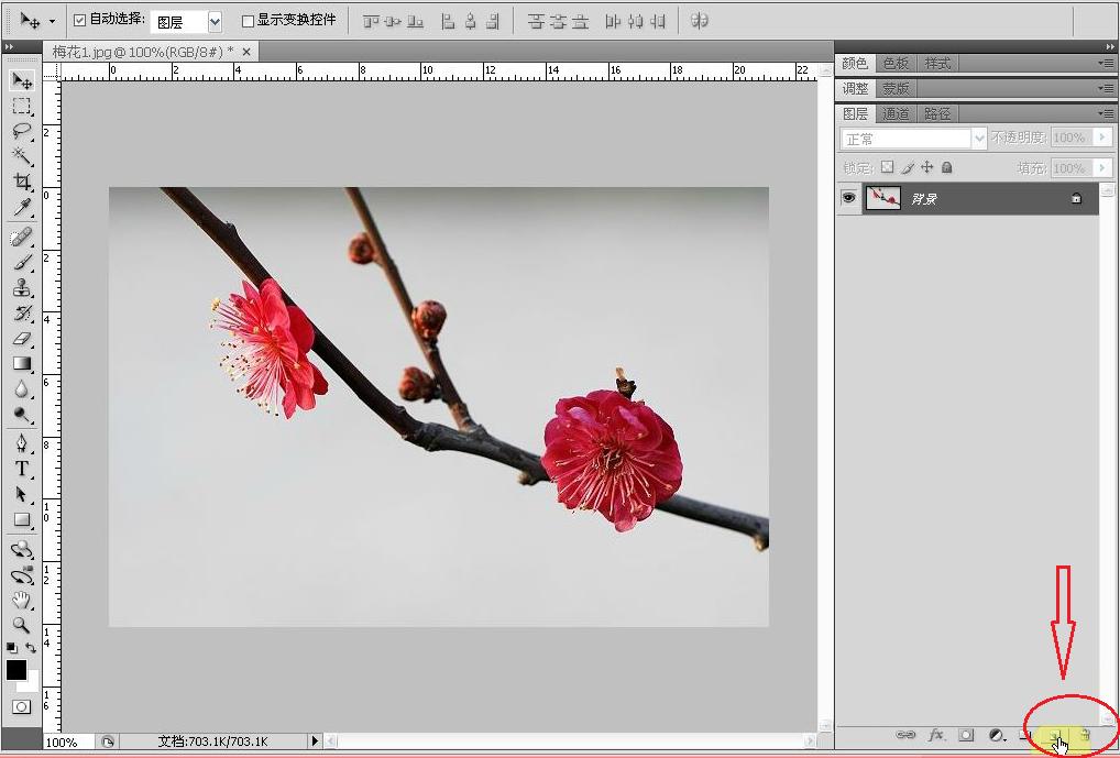 ps小白入门教程零基础抠图,ps小白入门基础教学导入图片