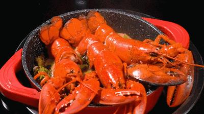 波龙搭配什么最好,波龙和什么混养