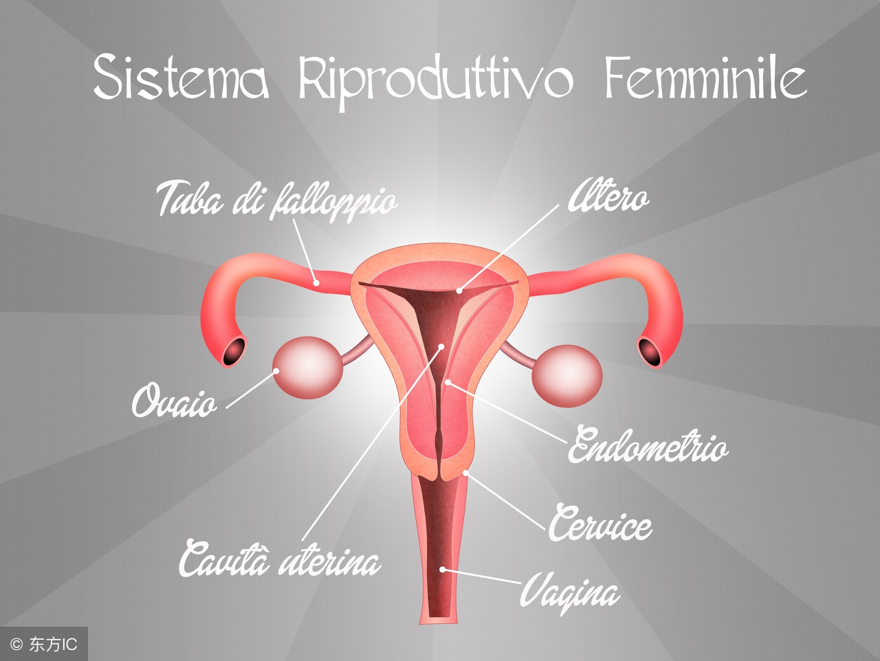 宫颈癌发生骨转移有哪些症状,宫颈癌病变会转移到哪里