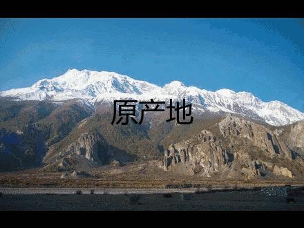 又是一个加班的夜晚放松一下心情,又是一个加班的周末