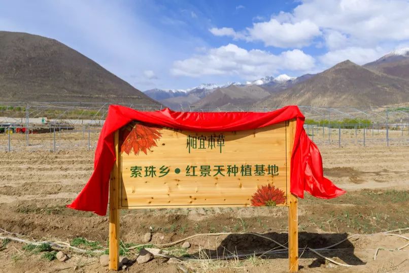 又是一个加班的夜晚放松一下心情,又是一个加班的周末