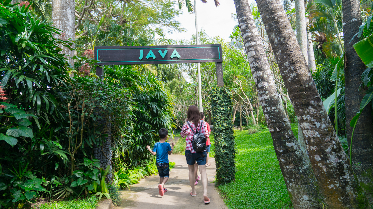 巴厘岛吃喝攻略,巴厘岛闺蜜