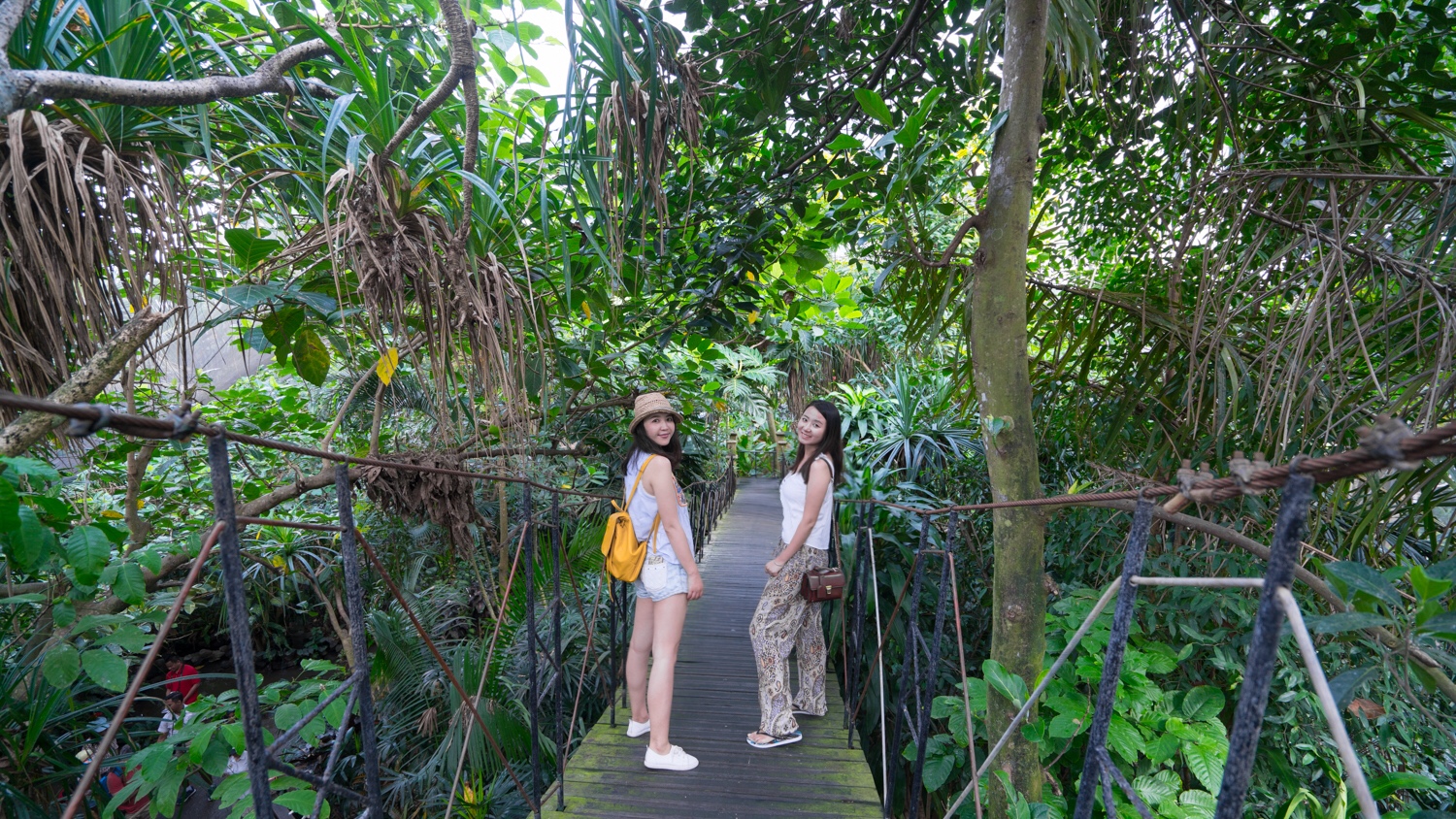 巴厘岛吃喝攻略,巴厘岛闺蜜