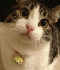 近100万辆车紧急召回！奔驰、比亚迪丰田……邯郸车主快看有你的么