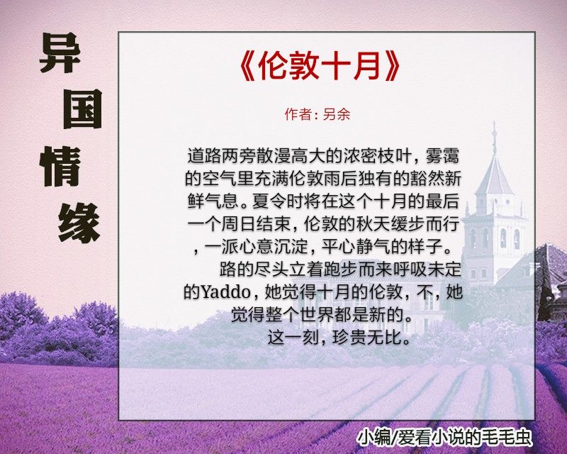 比较好看的异国恋小说,浪漫甜美的异国恋小说推荐