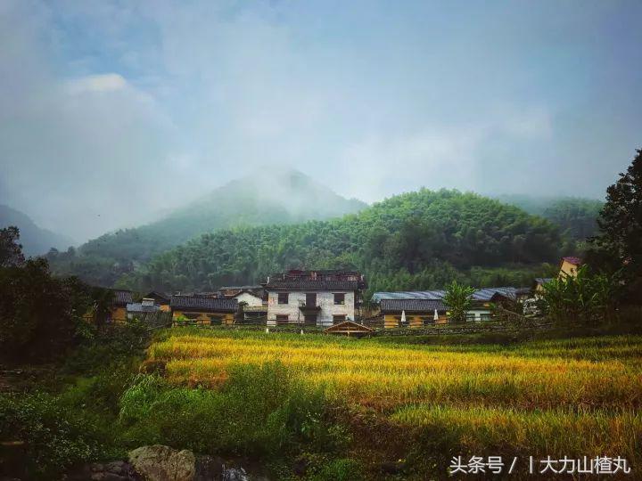 桐庐这些如诗画般高颜值精品民宿,桐庐有哪些隐藏的民宿