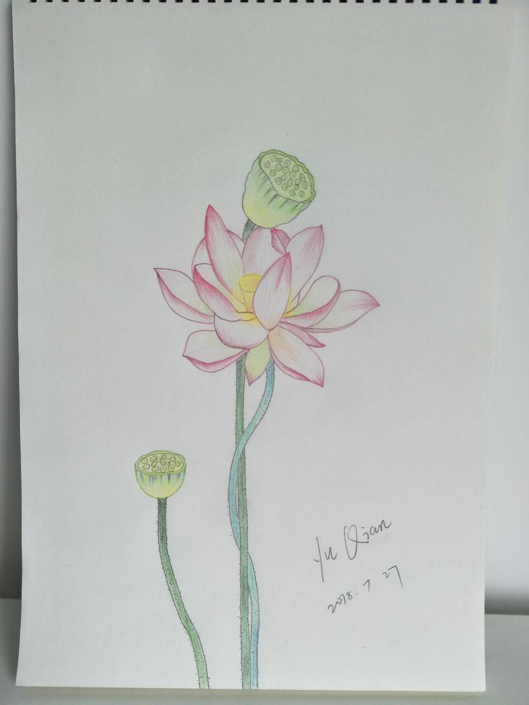 幸福画吧画友作品展示,幸福原创画吧画友最新作品分享