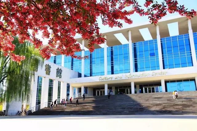 萌新攻略选修课,萌新攻略实用