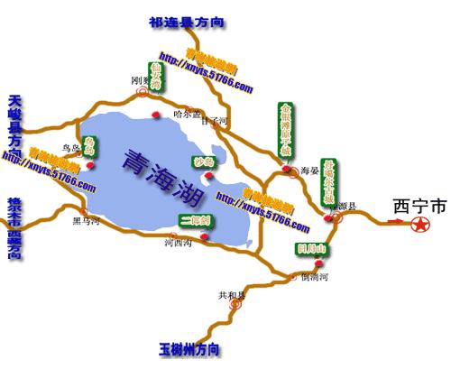 青海湖八月花海,七八月的青海湖油菜花