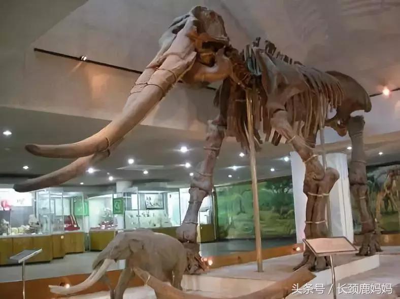 带孩子去北京不建议去哪,带孩子去北京没预约去哪玩