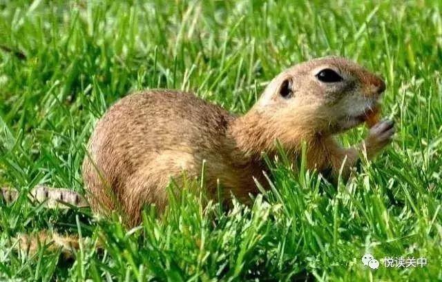 小时候的那些事视频,小时候的那些经历