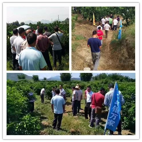 开一家农资店有多大的利润,开农资店成功案例