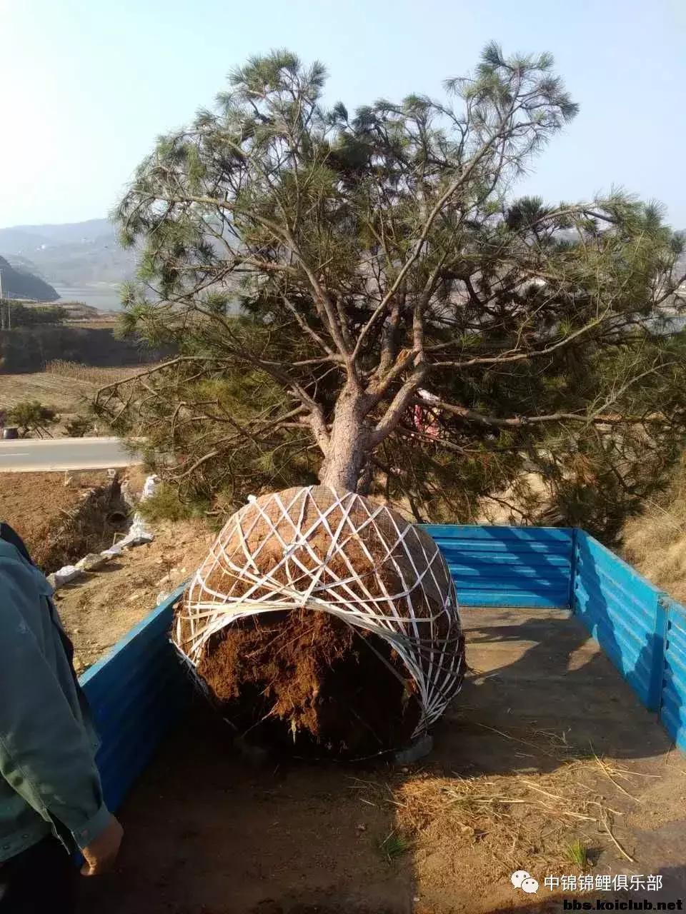 下沉式庭院挖多深,挖下沉式庭院