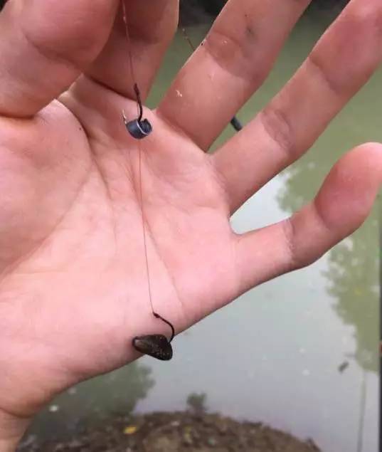 钓到过什么奇葩东西,钓上来最奇葩的东西