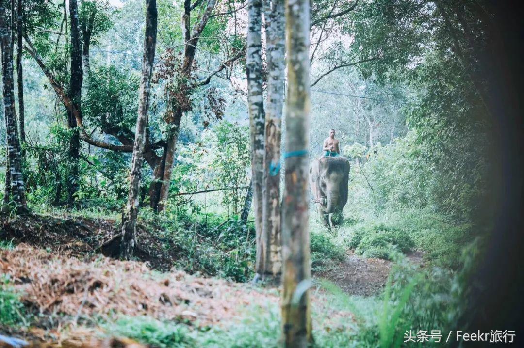 最新海岛打卡之旅,自由行可去的小众海岛