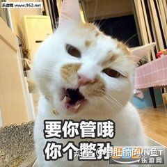 猫咪没有精神老是睡觉是怎么回事,猫咪睡觉咕咕咕的声音是怎么回事