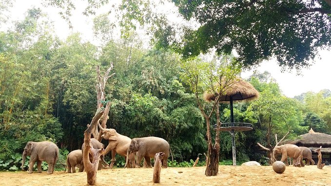 长隆广州野生动物园带娃游玩攻略,一大一小亲子游长隆野生动物园