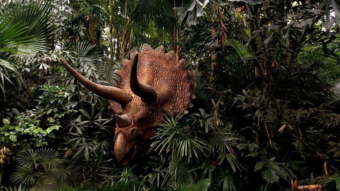 长隆广州野生动物园带娃游玩攻略,一大一小亲子游长隆野生动物园