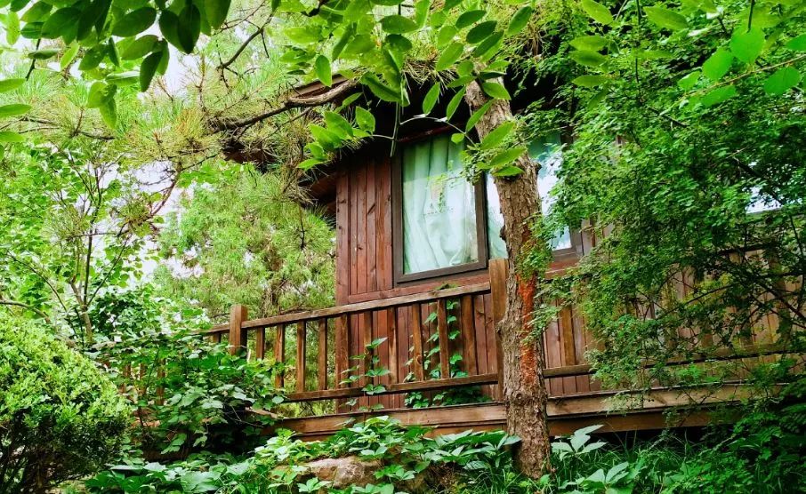 北京哪些公园对18岁以下免费,北京值得去的免费公园排名