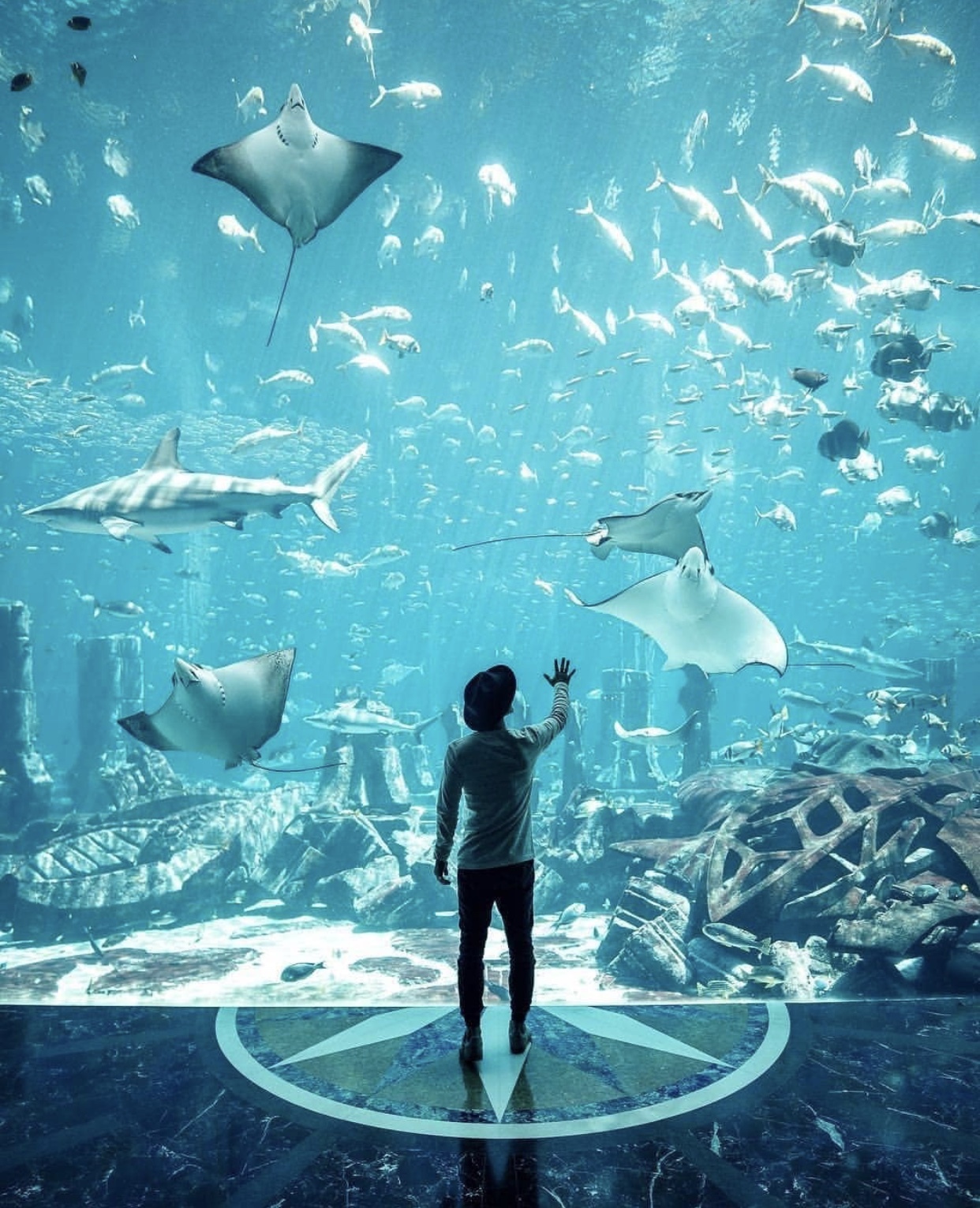 迪拜沙漠里的奇迹之城,沙漠之城迪拜旅行