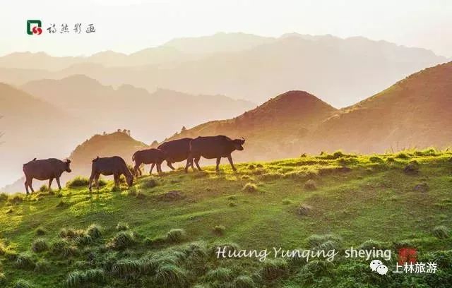 上林美丽风景图,上林美景爆款