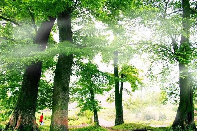 独自旅行一定要去的地方,第一次独自旅行去了哪里