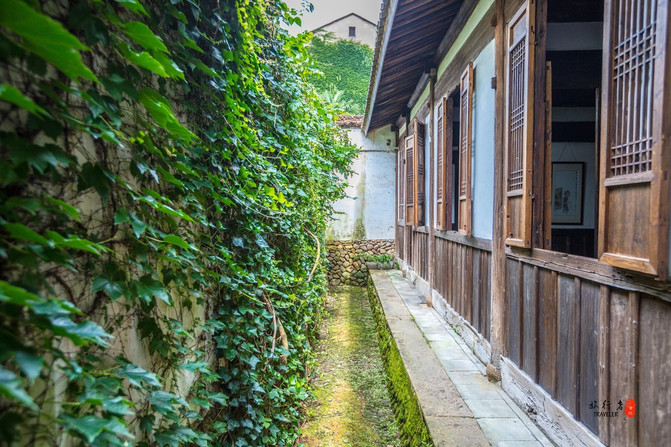 遂昌，一个在浙江只有25度的县城，被江浙沪誉为最值得度假的地方