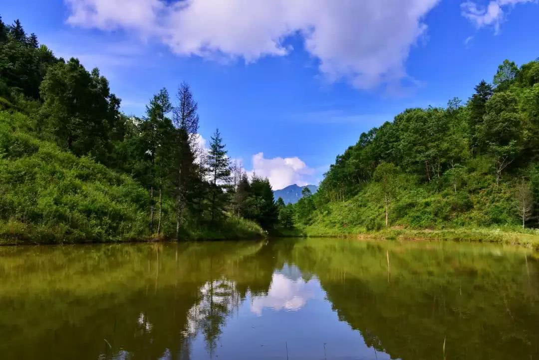 瀑布凉爽一夏,瀑布美景清凉避暑好去处