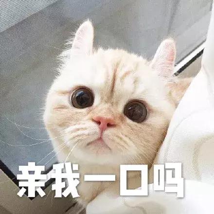 温和型美白淡斑面膜,推荐一款好用的美白淡斑的产品