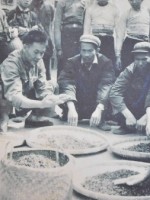 大益普洱茶砖勐海茶厂,90年代普洱茶熟茶的历史