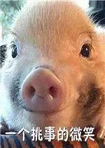 国足到底怎么赚钱的,中国国足要靠钱进吗