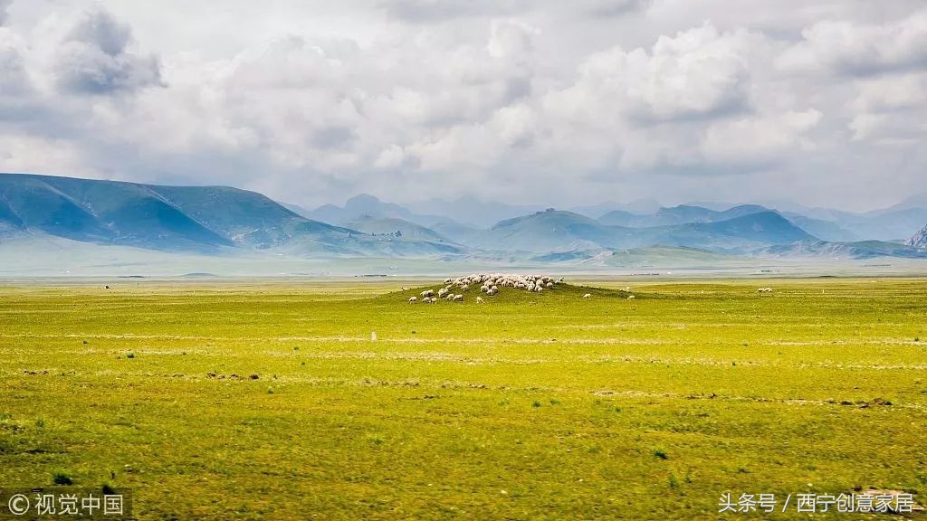 青海为什么频繁发生地震,青海人为什么长得好看