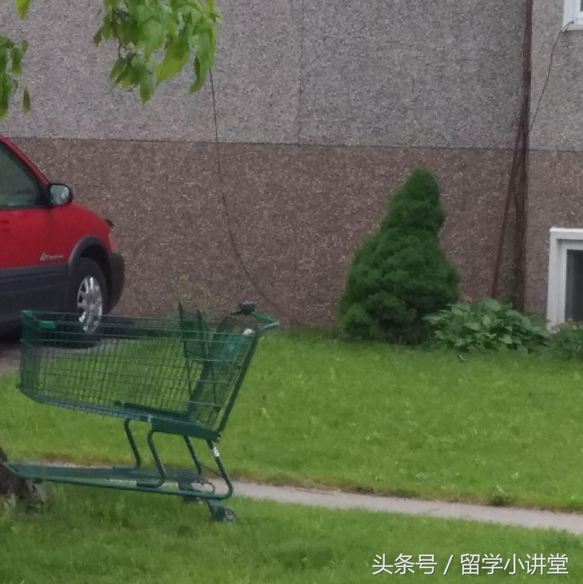 在加拿大生活真的非常舒服,加拿大纳奈莫生活体验