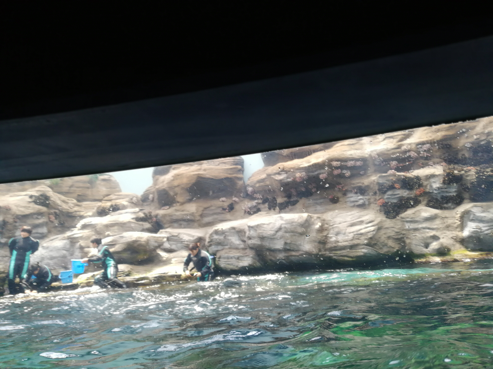 日本乐高亲子游,日本乐高亲子游玩中心在哪