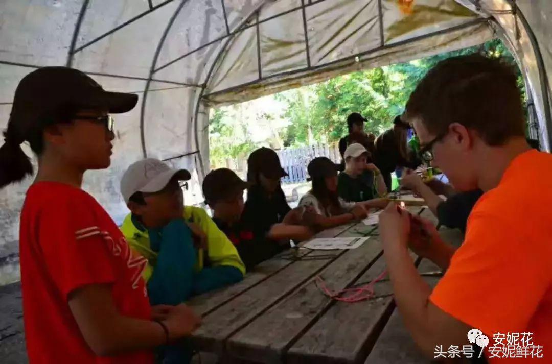 浸入式体验北美教育，安妮花2018童子军夏令营跨国行记