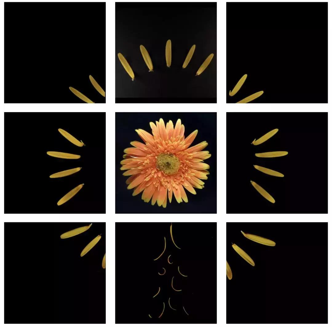 手机拍摄九宫格,手机摄影九宫格怎么设置