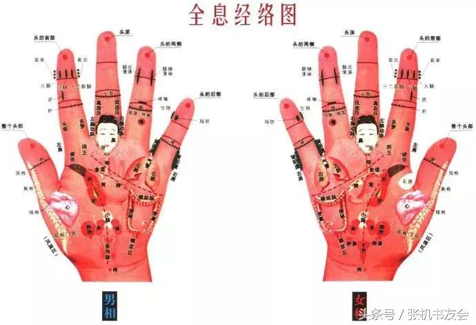 针灸按摩全息图（收藏版）