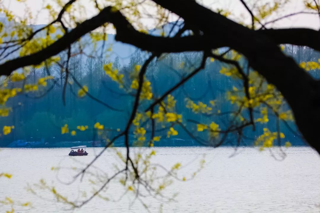 别人说你很优秀如何回答,有人说自己平庸至极你如何回应他