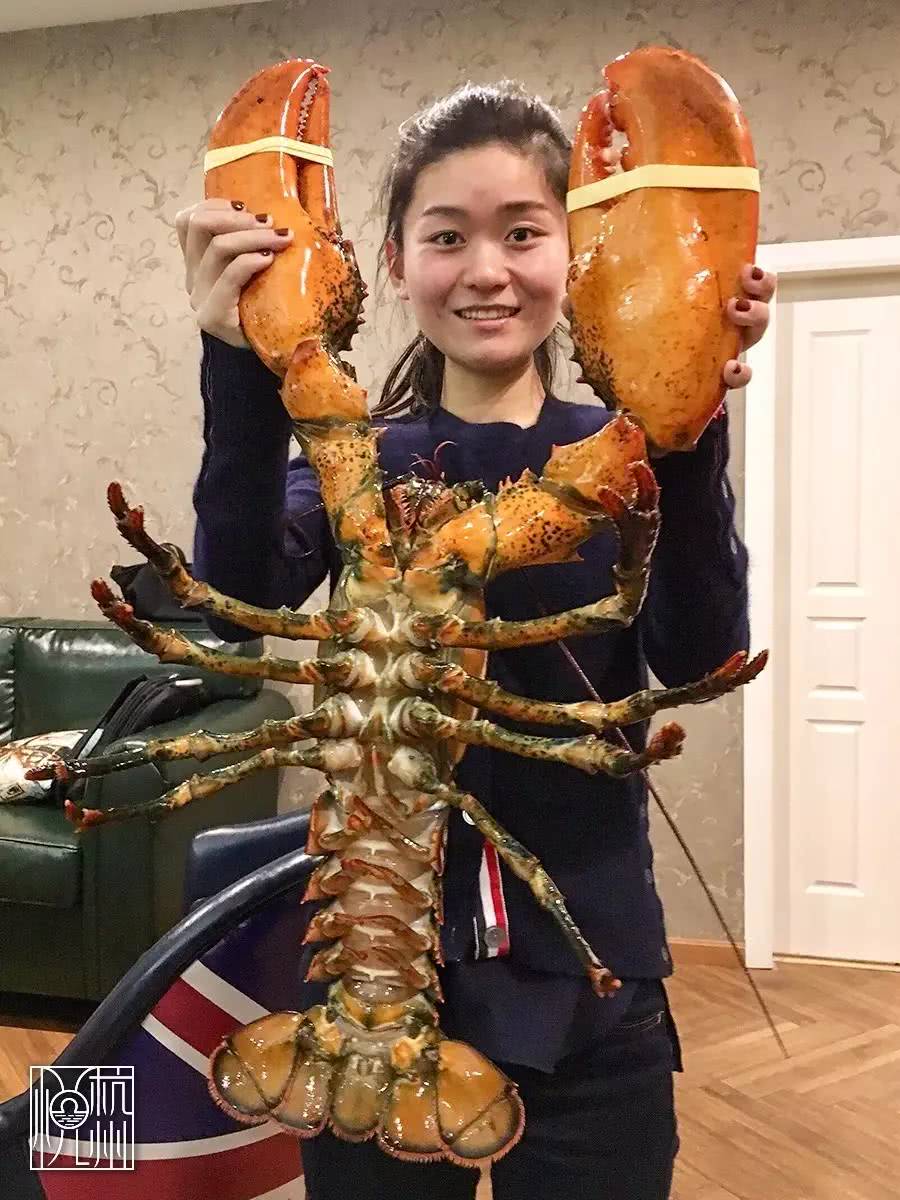 五星大酒店的品质，批发市场的价格在杭州吃海鲜，还可以这么爽