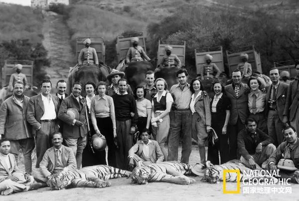 国家地理历史解密,国家地理老虎的复仇