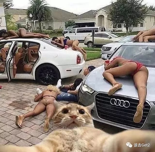 游玩集体照拍照姿势,创意拍照集体照旅游