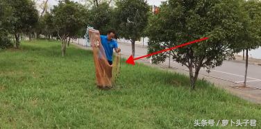 捕鱼神器可以抓到鱼吗,捕鱼神器真能抓到鱼吗