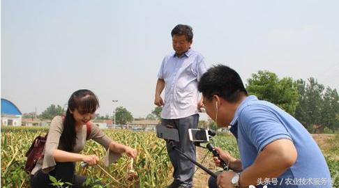农村直播卖货危害,农村直播发展现状