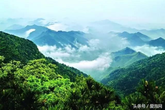 江浙沪深山老林旅游最好去处,清凉避暑好去处森林氧吧