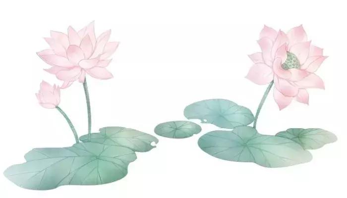 何湛兮:荷花的别名与诗词