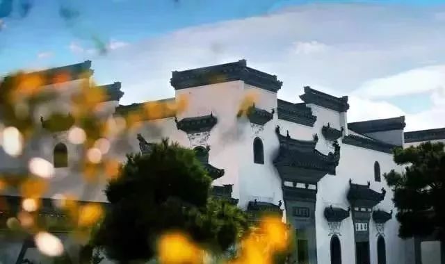 常州吃湖鲜,常州景观大道